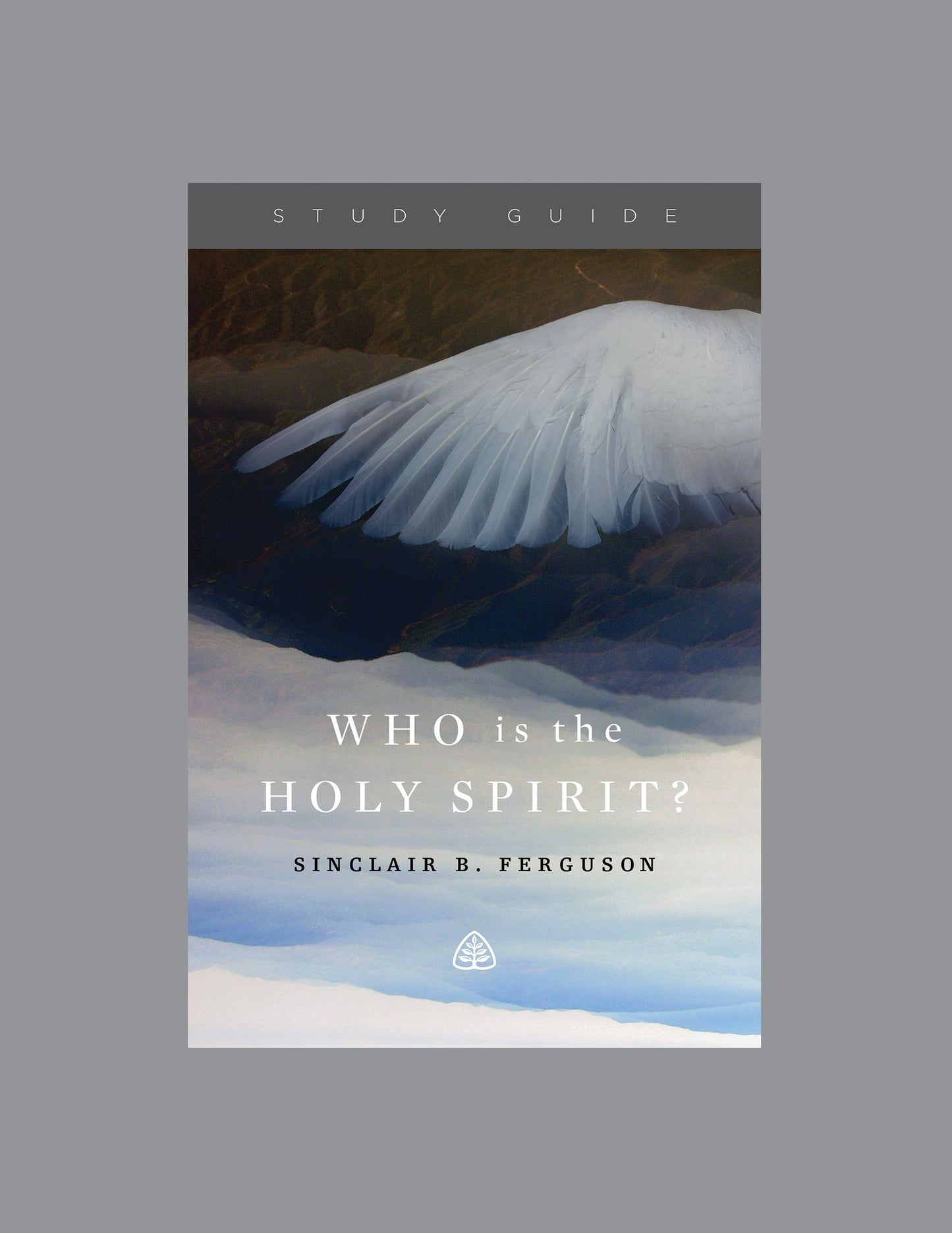 Who Is the Holy Spirit?