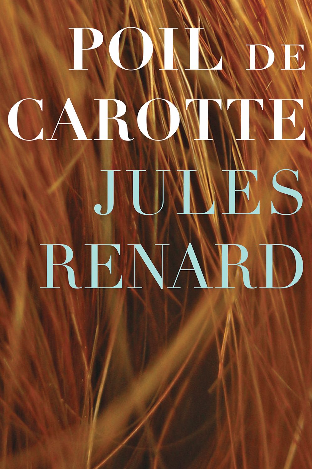 Poil de Carotte