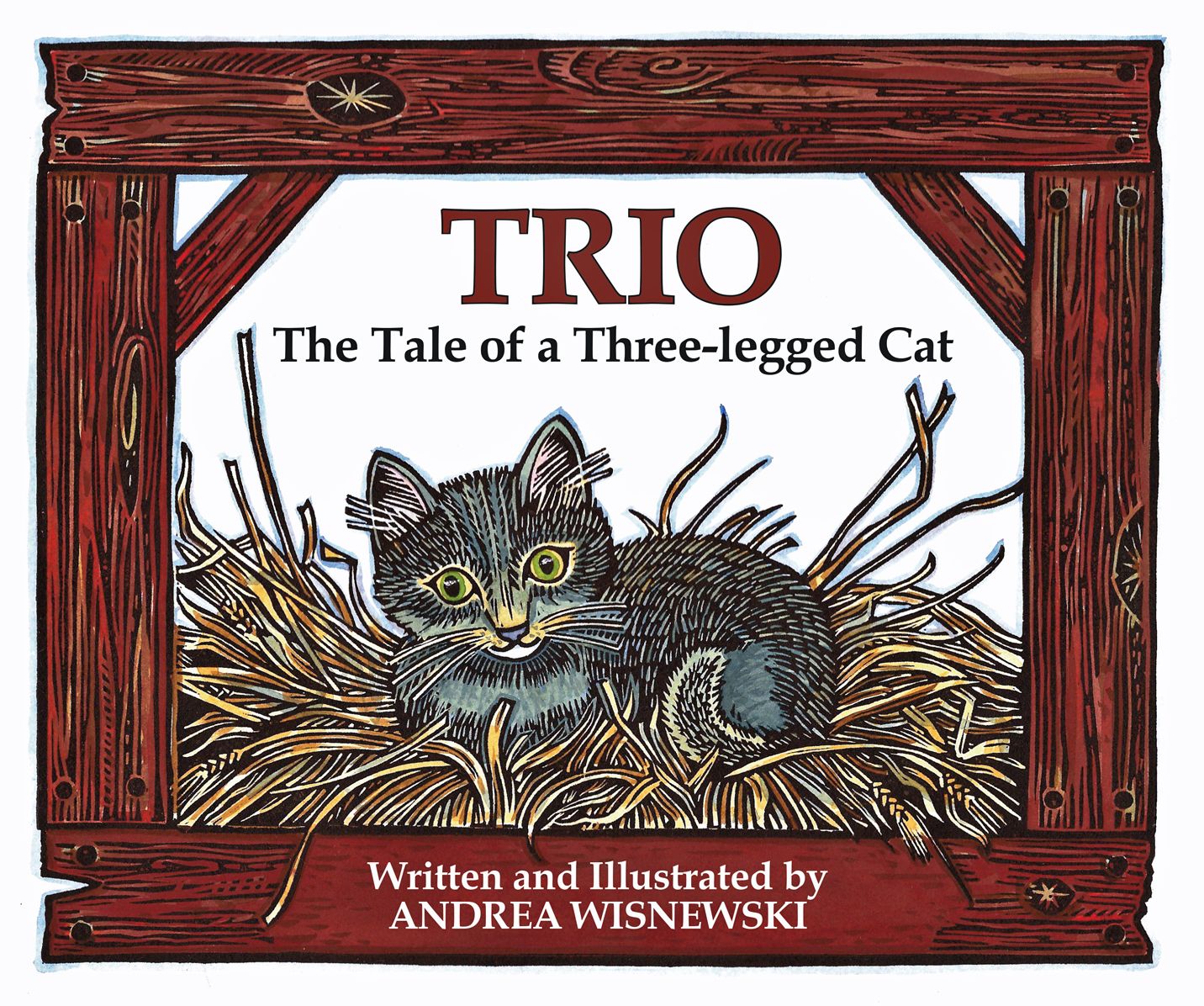 Trio: The Tale of a Three-legged Cat