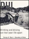 DUI Fact Book: Drinking and Driving Can Tear Your Life Apart