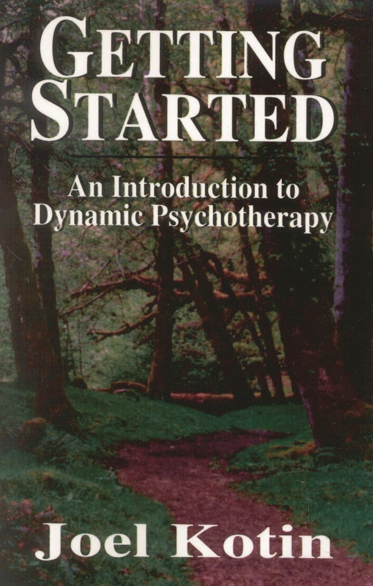Getting Started: An Introduction to Dynamic Psychotherapy