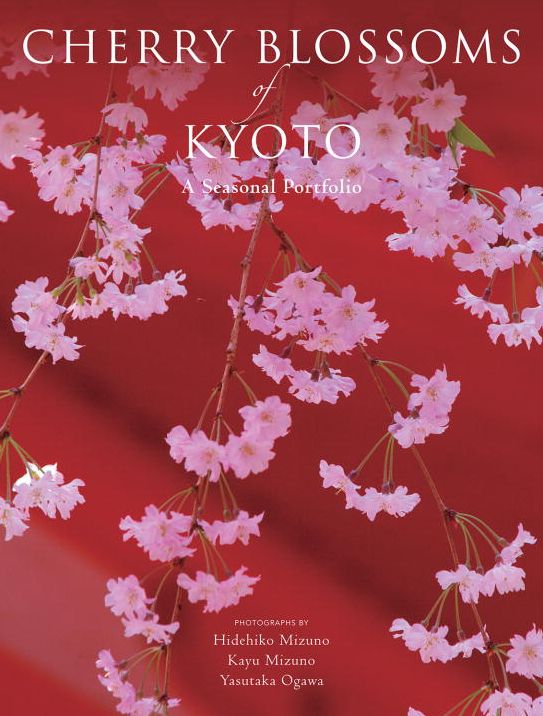 Cherry Blossoms of Kyoto: A Seasonal Portfolio