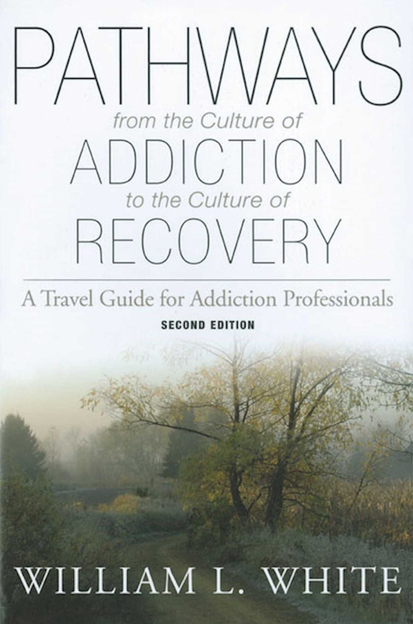 Pathways from the Culture of Addiction to the Culture of Recovery: A Travel Guide for Addiction Professionals