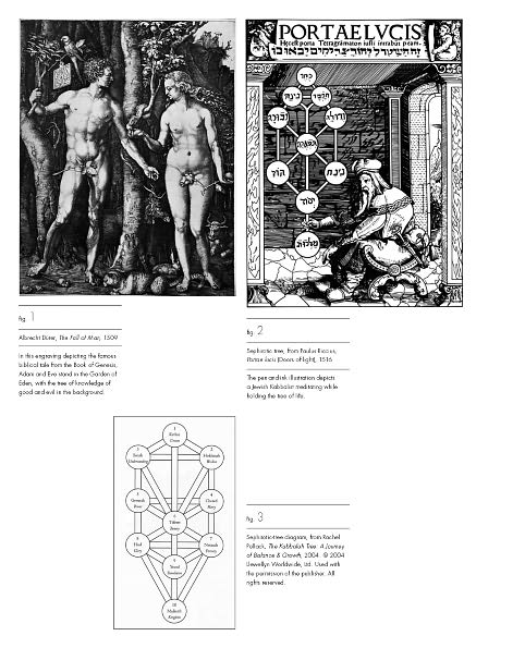 Visual Complexity: Mapping Patterns of Information