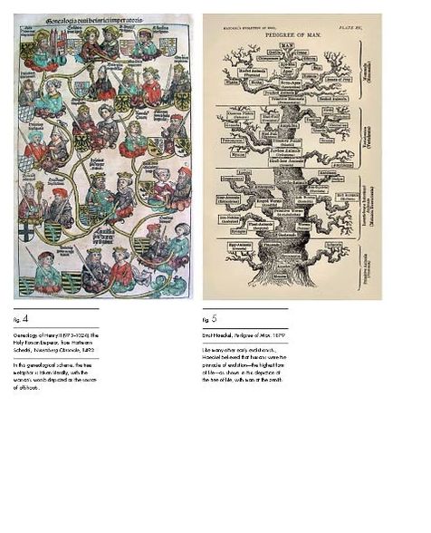 Visual Complexity: Mapping Patterns of Information