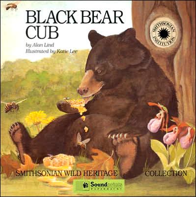Black Bear Cub