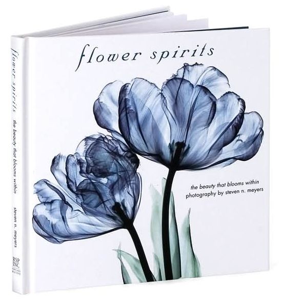 Flower Spirits: The Beauty That Blooms Within