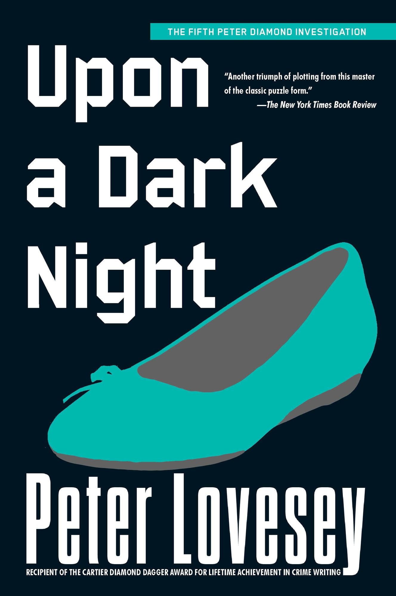 Upon a Dark Night (Peter Diamond Series #5)