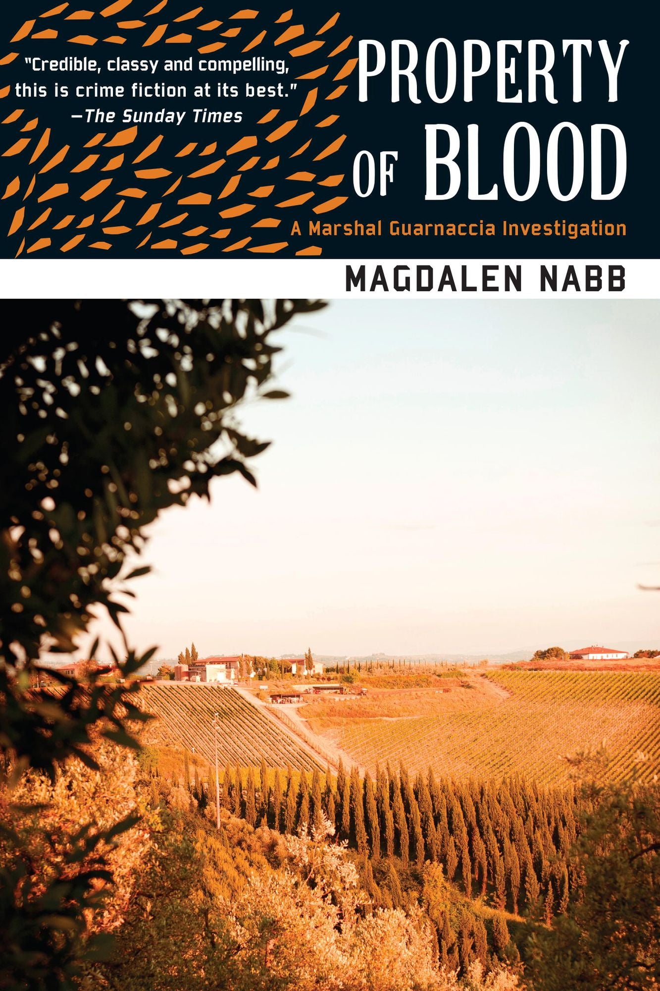 Property of Blood (Marshal Guarnaccia Series #11)