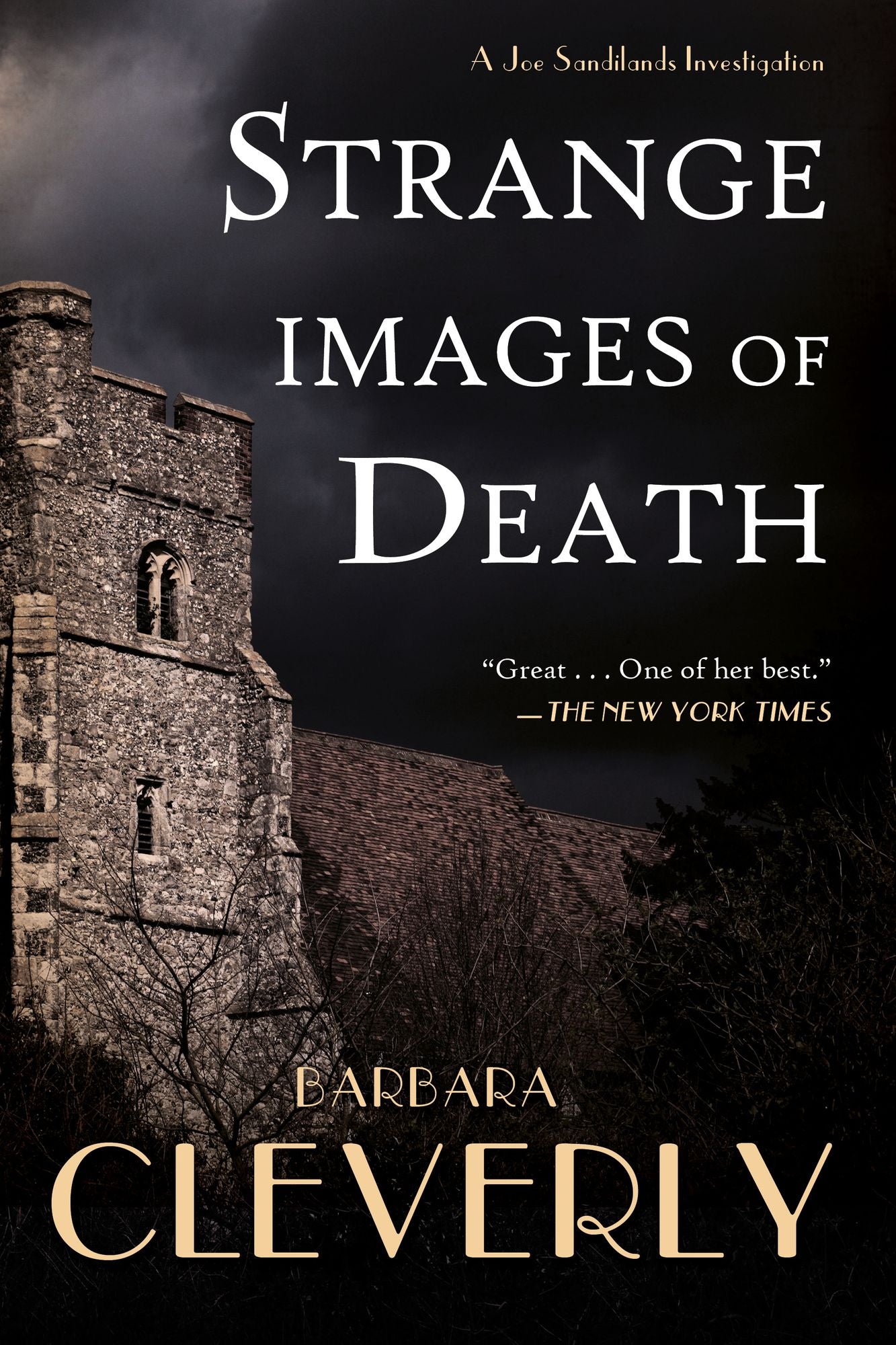 Strange Images of Death (Joe Sandilands Series #8)