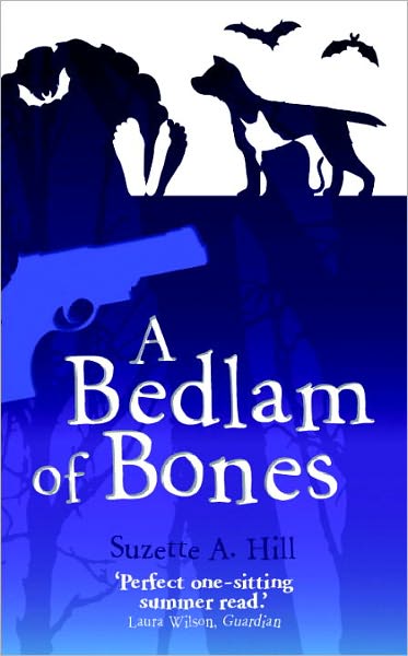 A Bedlam of Bones (Reverend Oughterard Series #5)