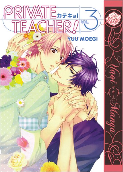 Private Teacher, Volume 3 (Yaoi Manga)