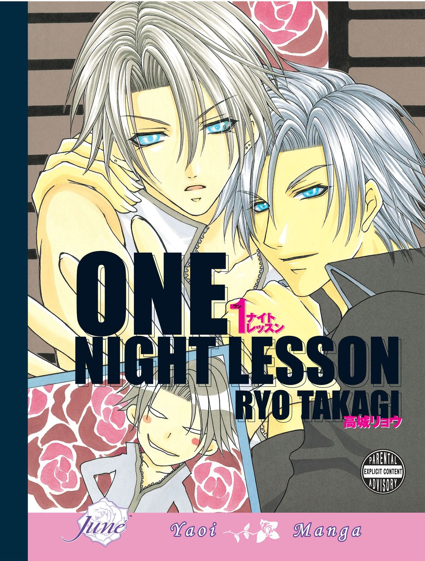 One Night Lesson (Yaoi)