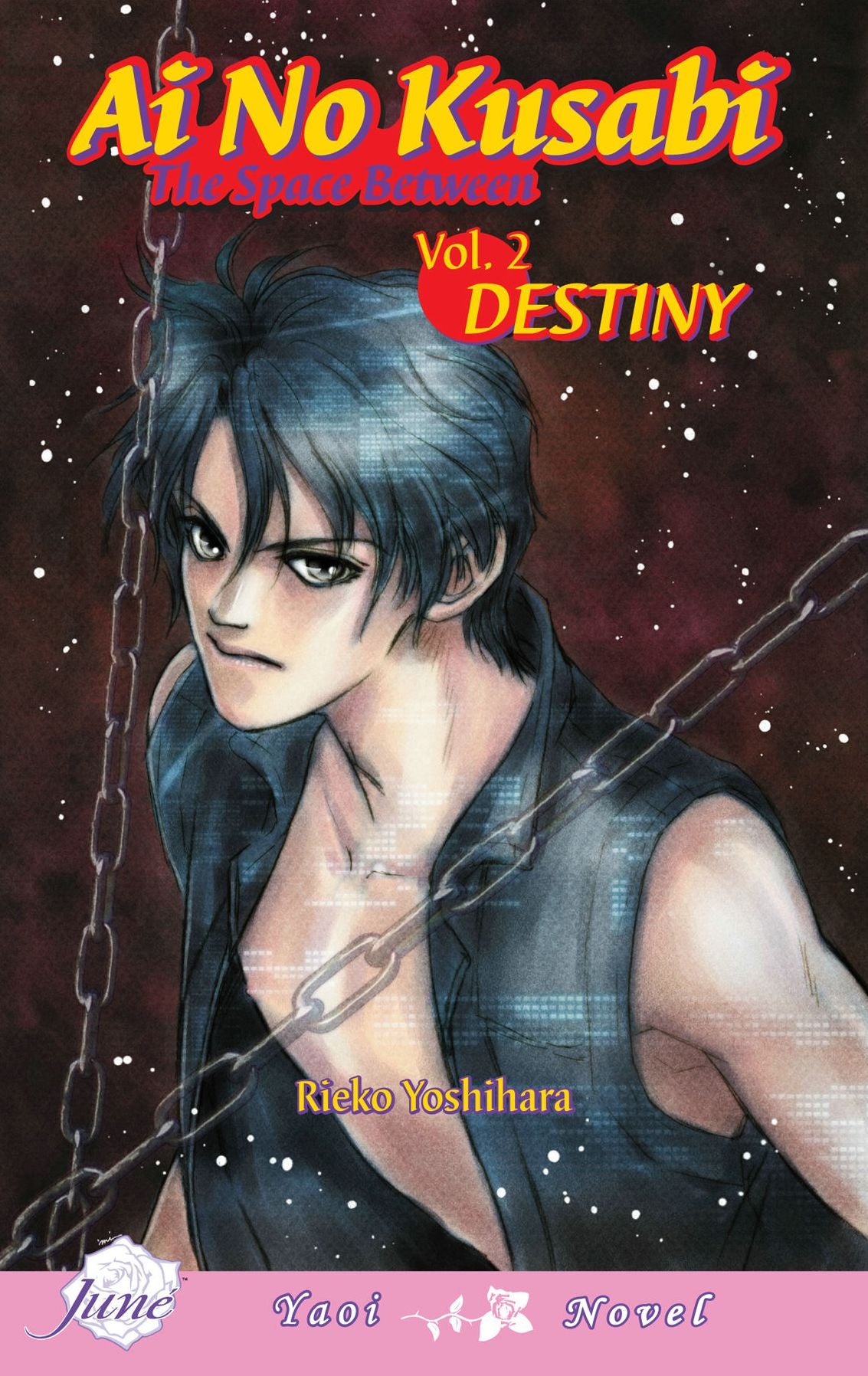 Ai No Kusabi the Space Between, Volume 2: Destiny (Yaoi Novel)