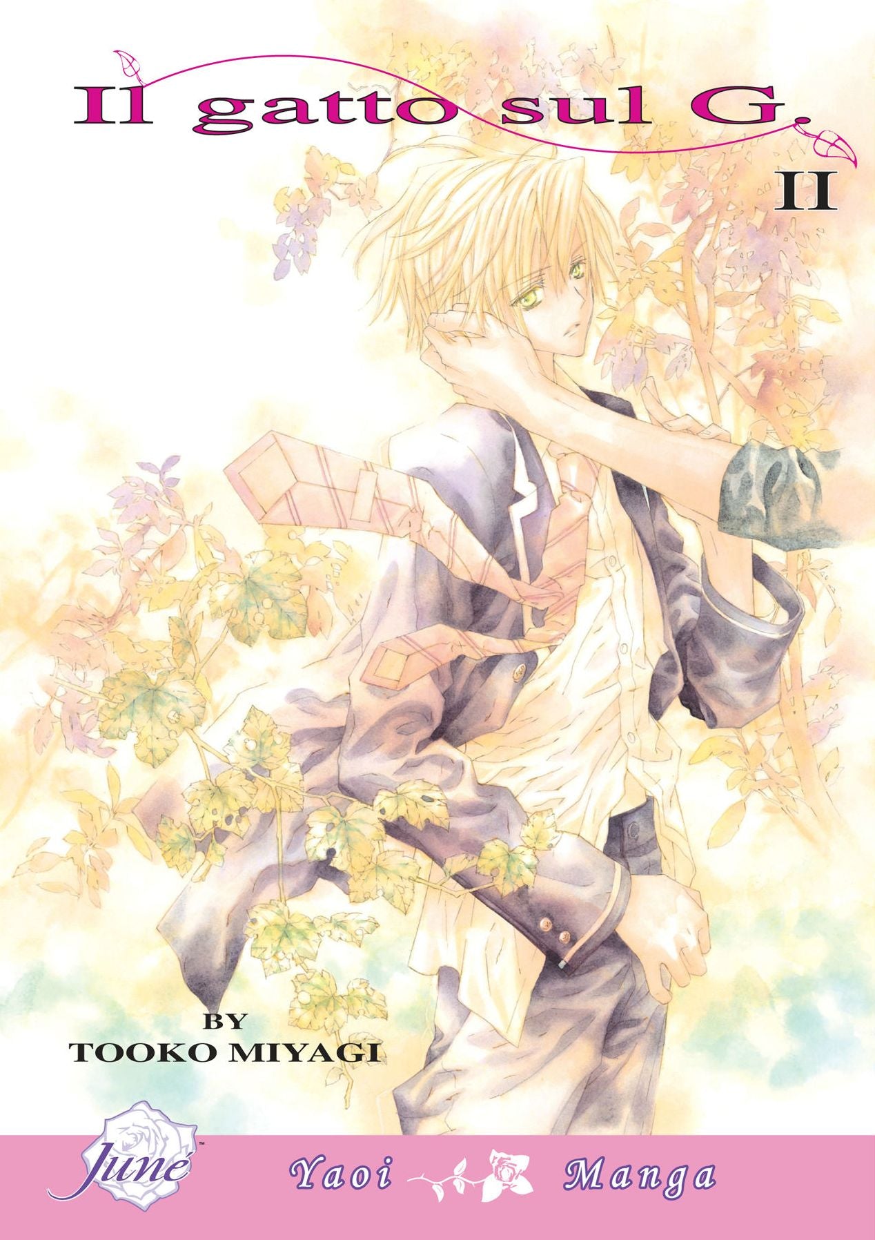 Il Gatto Sul G, Volume 2 (Yaoi)