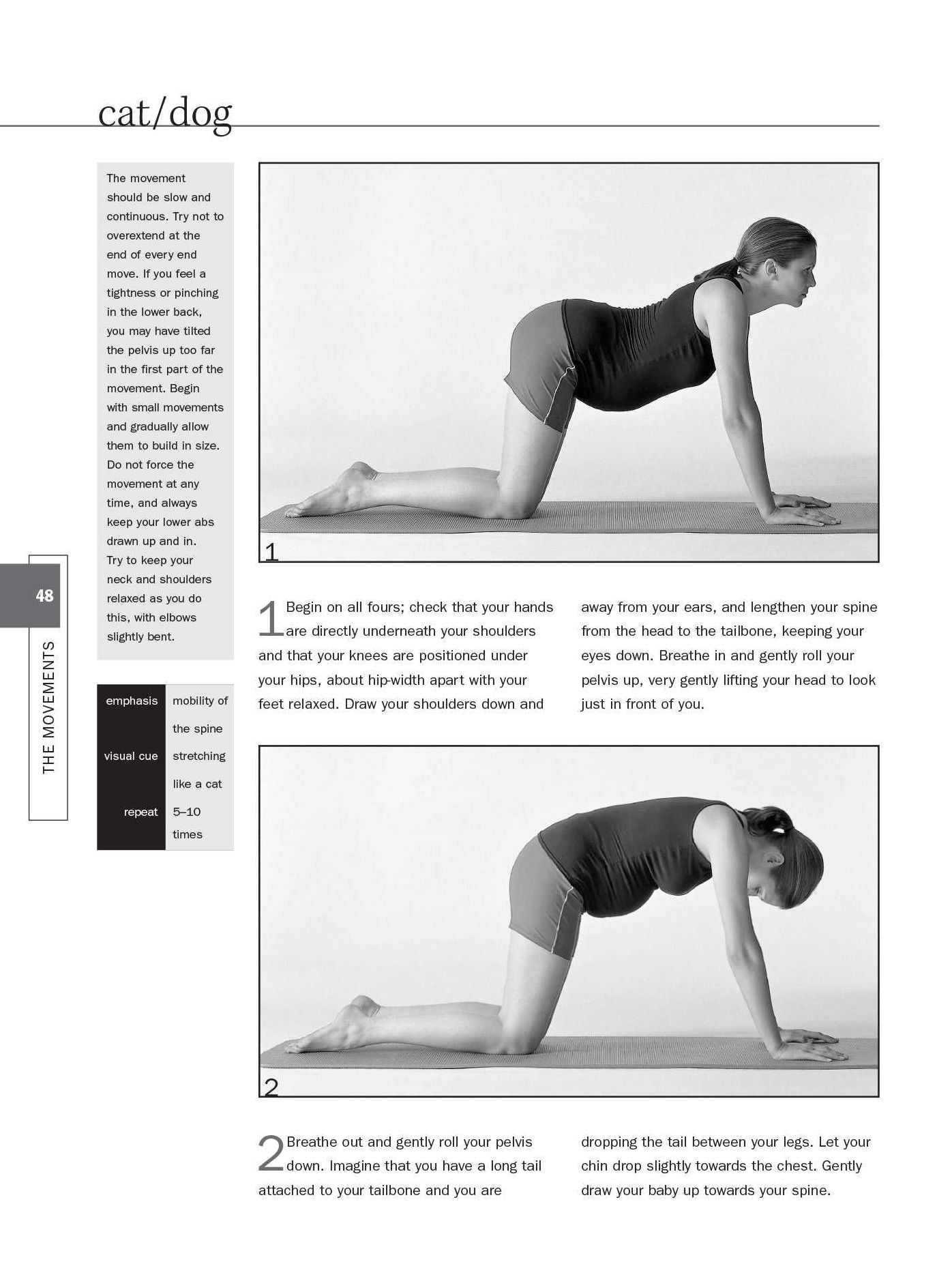 Pilates Workbook for Pregnancy: Illustrated Step-By-Step Matwork Techniques