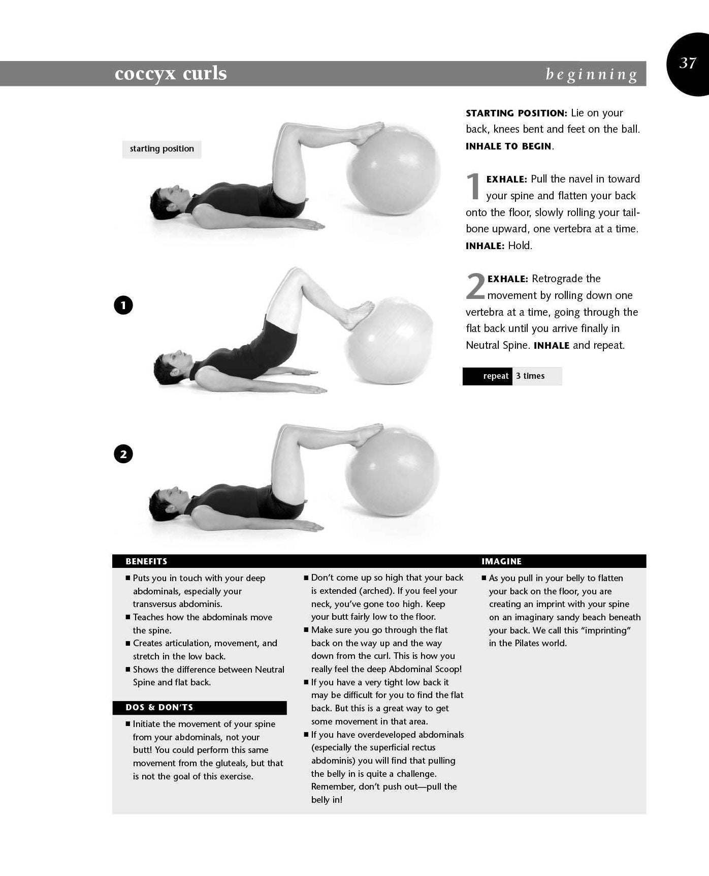 Ellie Herman's Pilates Workbook on the Ball: Illustrated Step-by-Step Guide