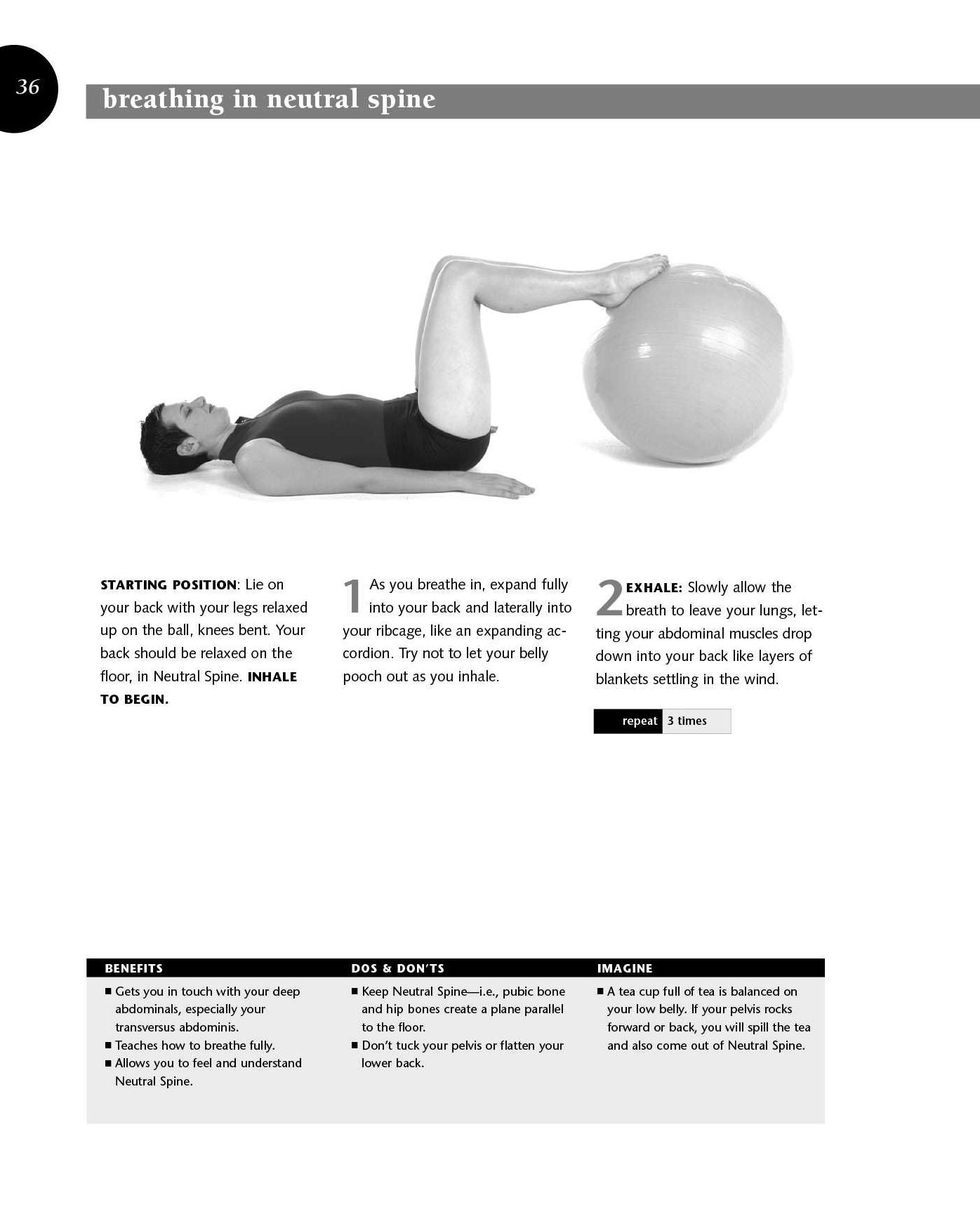 Ellie Herman's Pilates Workbook on the Ball: Illustrated Step-by-Step Guide