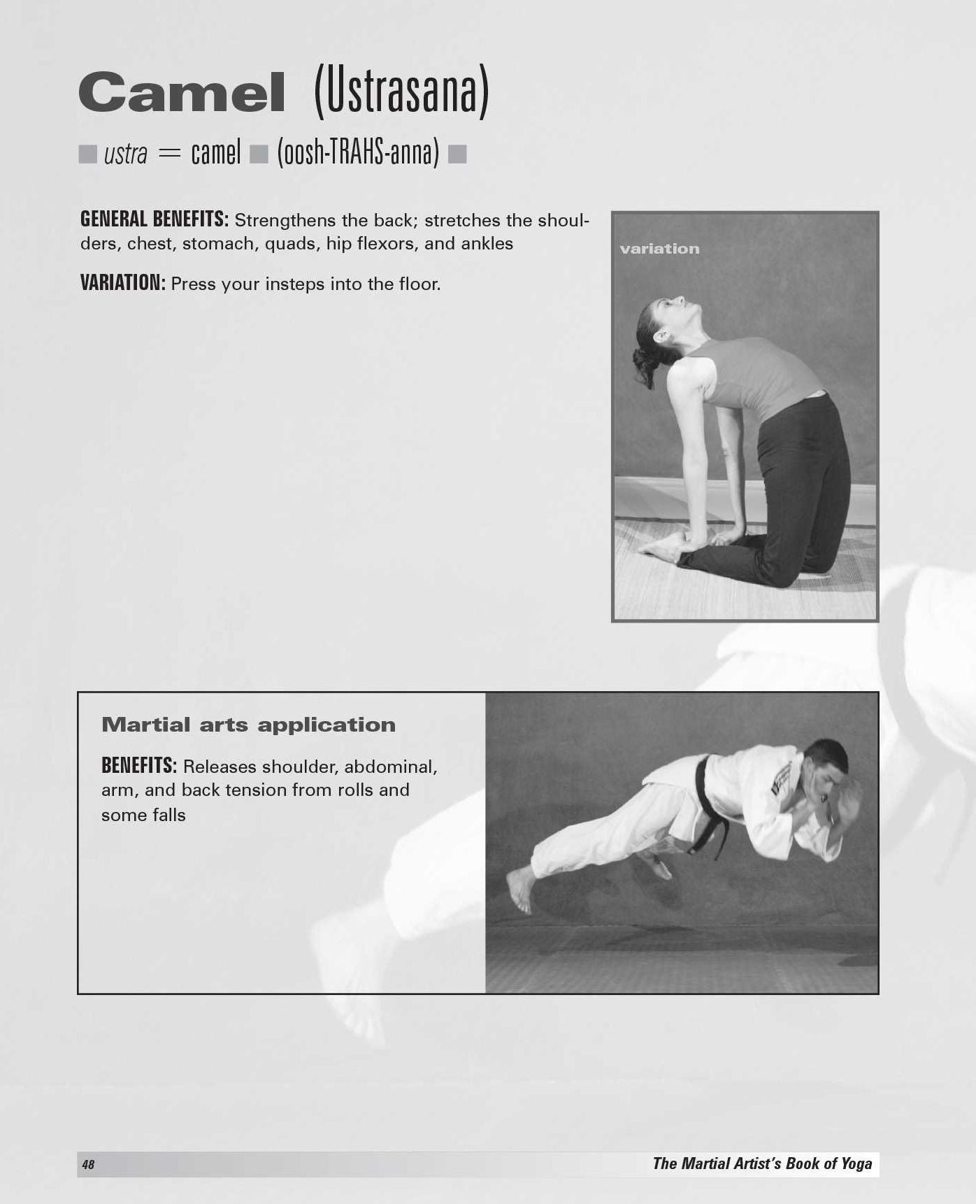 The Martial Artist's Book of Yoga: Improve Flexibility, Balance and Strength for Higher Kicks, Faster Strikes, Smoother Throws, Safer Falls, and Stronger Stances