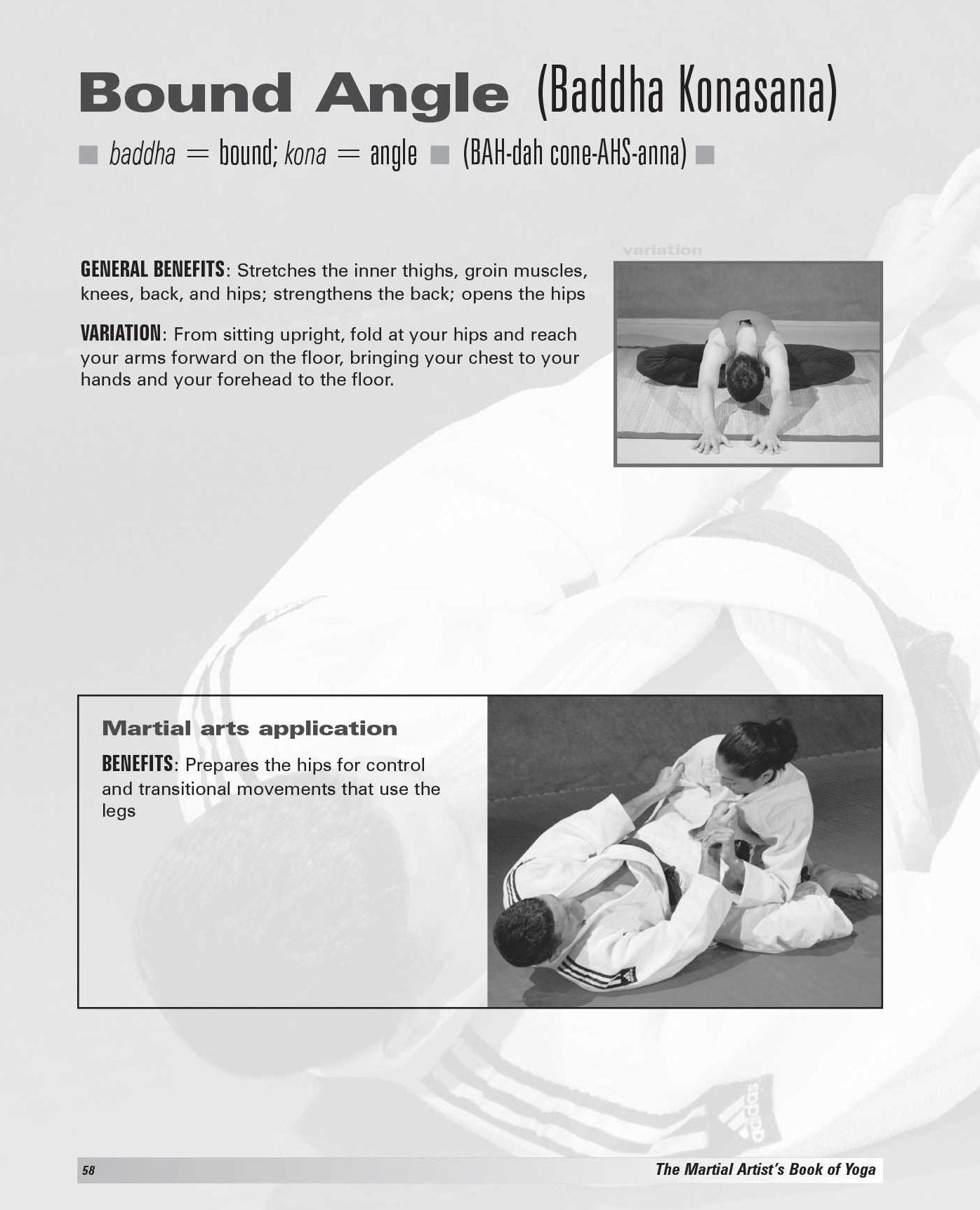 The Martial Artist's Book of Yoga: Improve Flexibility, Balance and Strength for Higher Kicks, Faster Strikes, Smoother Throws, Safer Falls, and Stronger Stances
