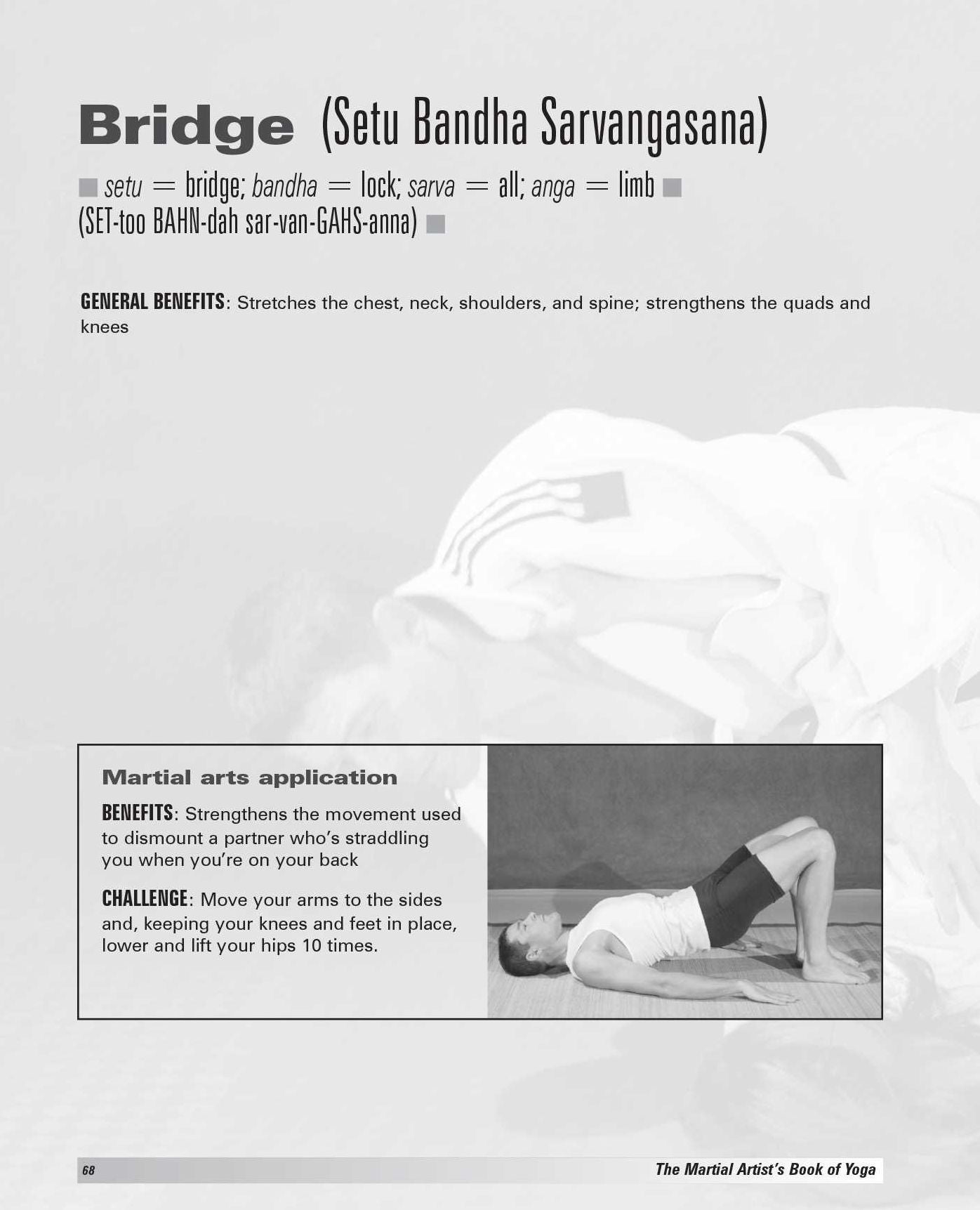 The Martial Artist's Book of Yoga: Improve Flexibility, Balance and Strength for Higher Kicks, Faster Strikes, Smoother Throws, Safer Falls, and Stronger Stances