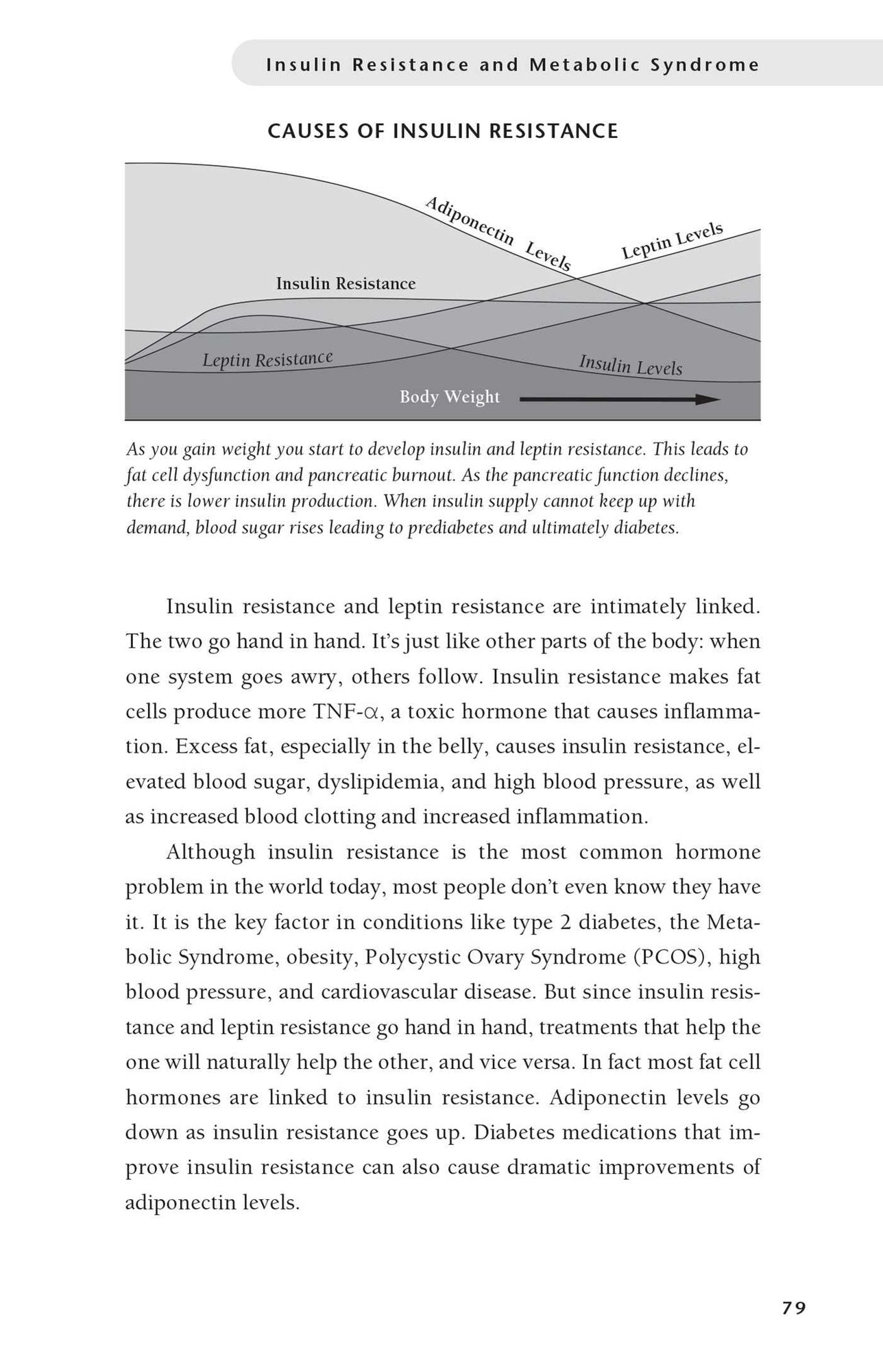 The Leptin Boost Diet