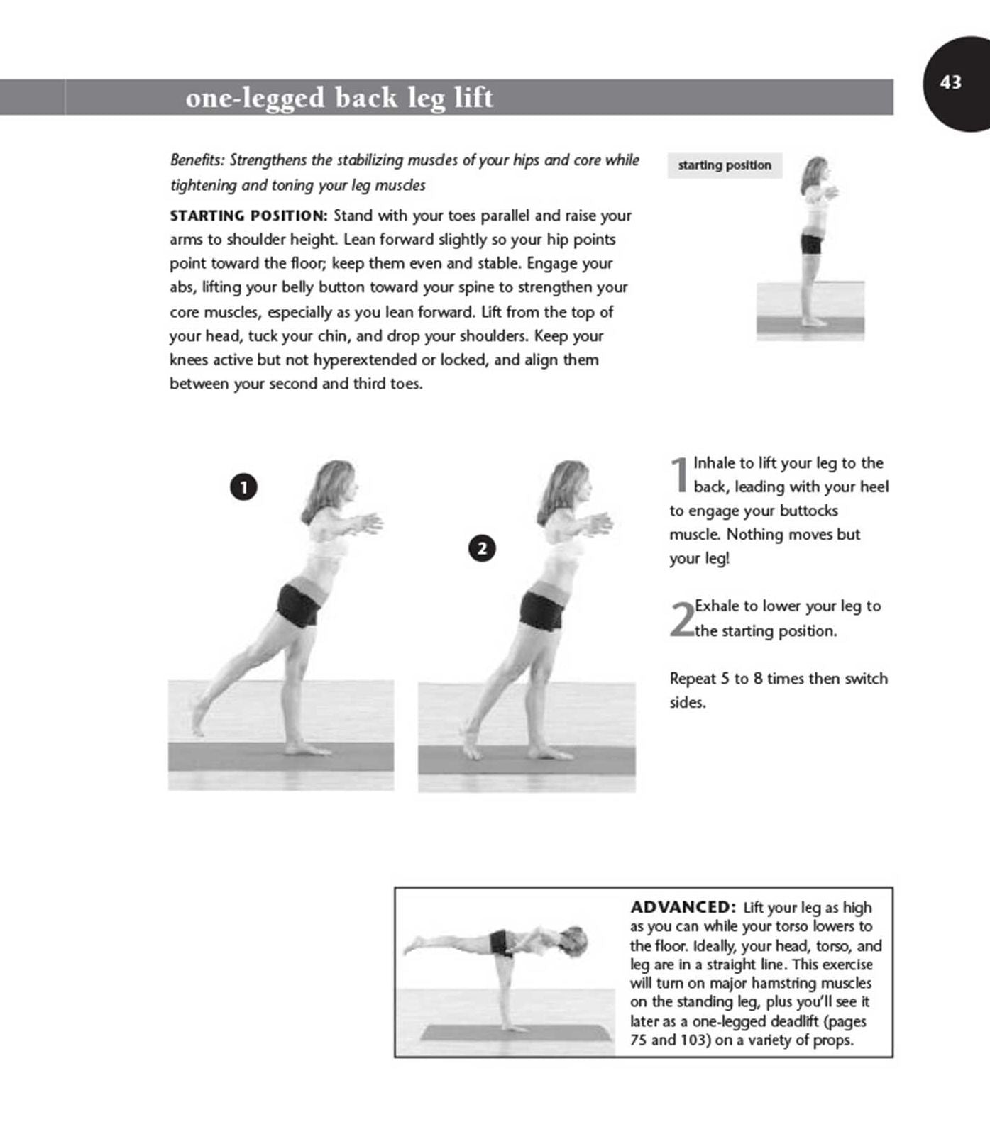 Balance Training: Complete Stability Training for a Full-Body Workout