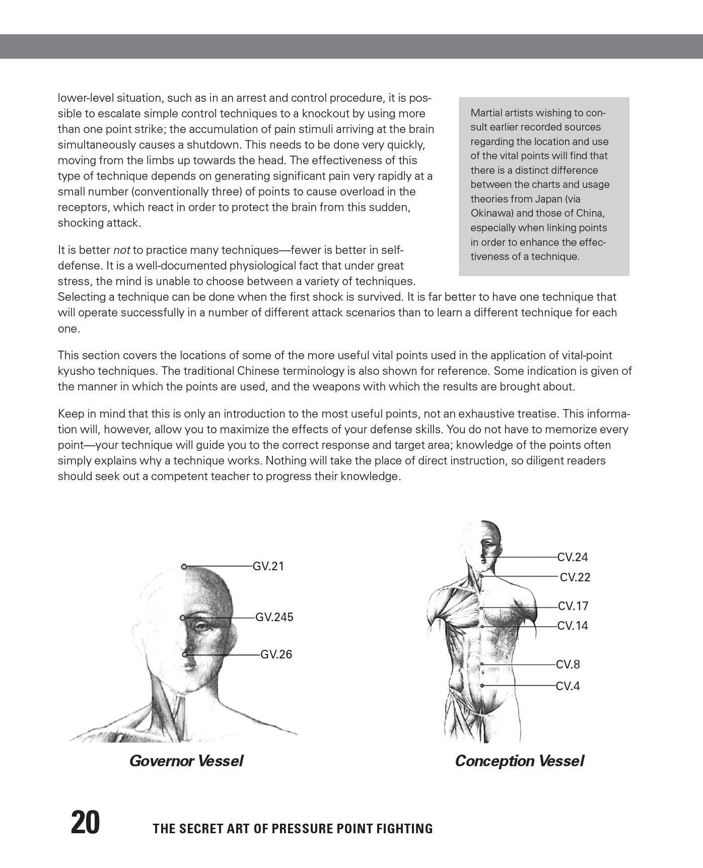 The Secret Art of Pressure Point Fighting: Techniques to Disable Anyone in Seconds Using Minimal Force