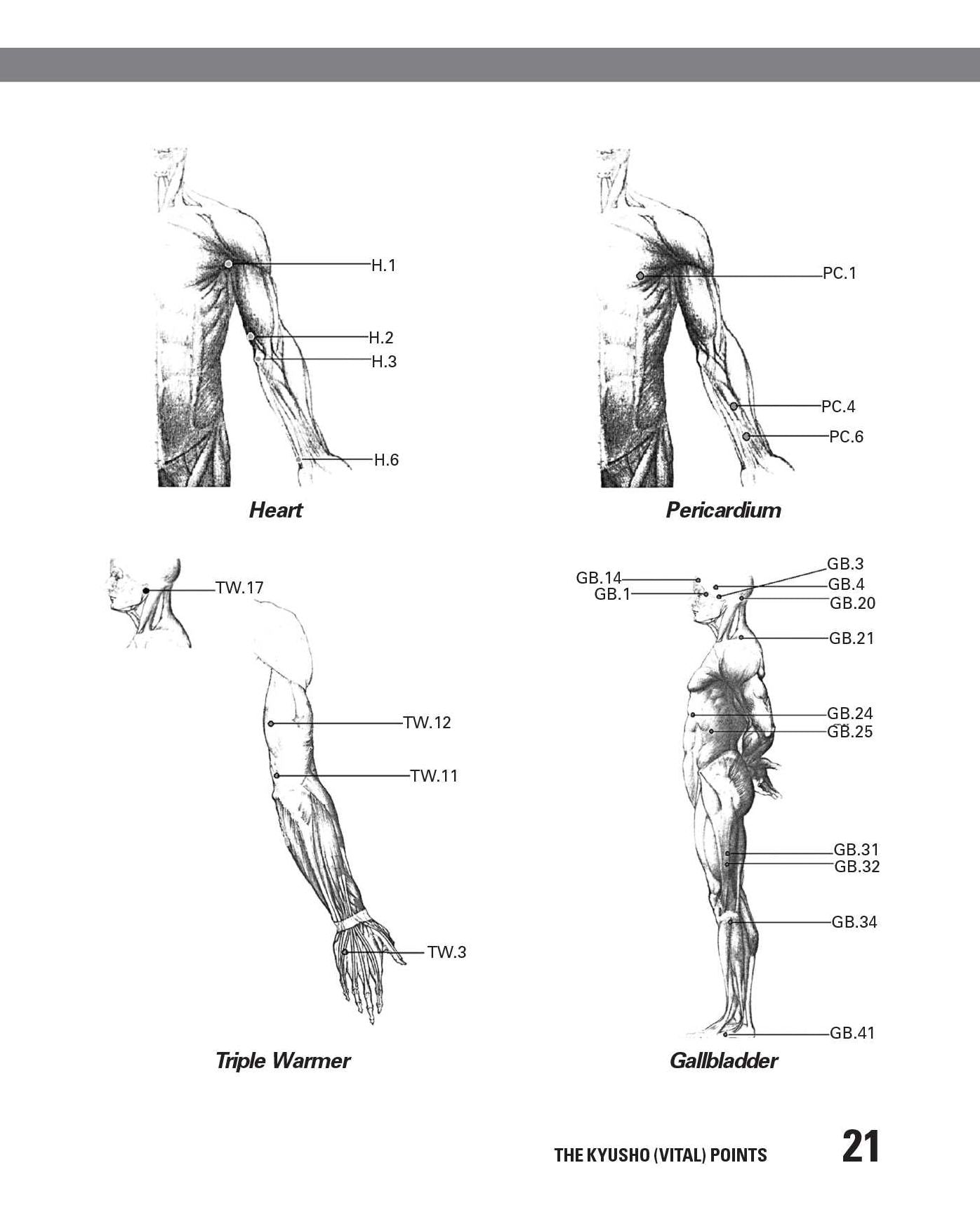 The Secret Art of Pressure Point Fighting: Techniques to Disable Anyone in Seconds Using Minimal Force