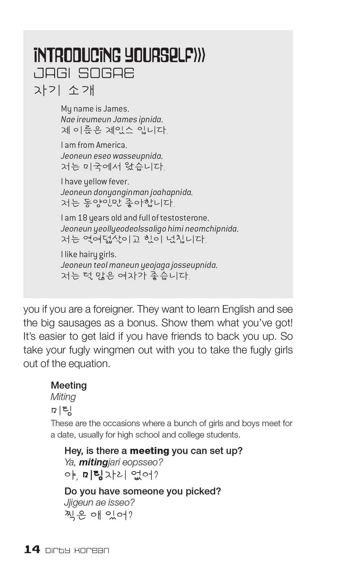 Dirty Korean: Everyday Slang from "What's Up?" to "F*%# Off!"