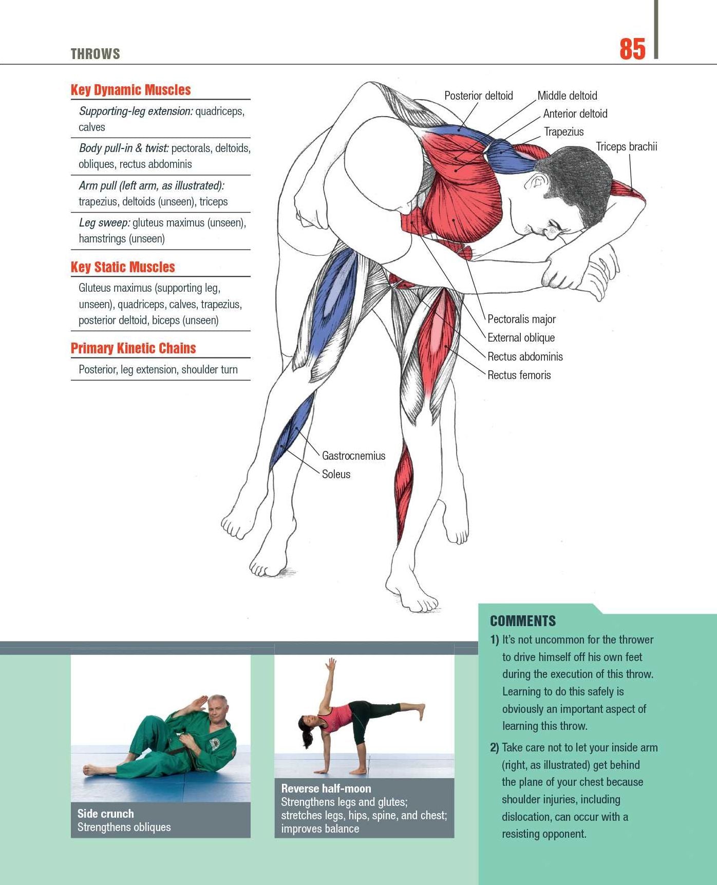 The Anatomy of Martial Arts: An Illustrated Guide to the Muscles Used for Each Strike, Kick, and Throw