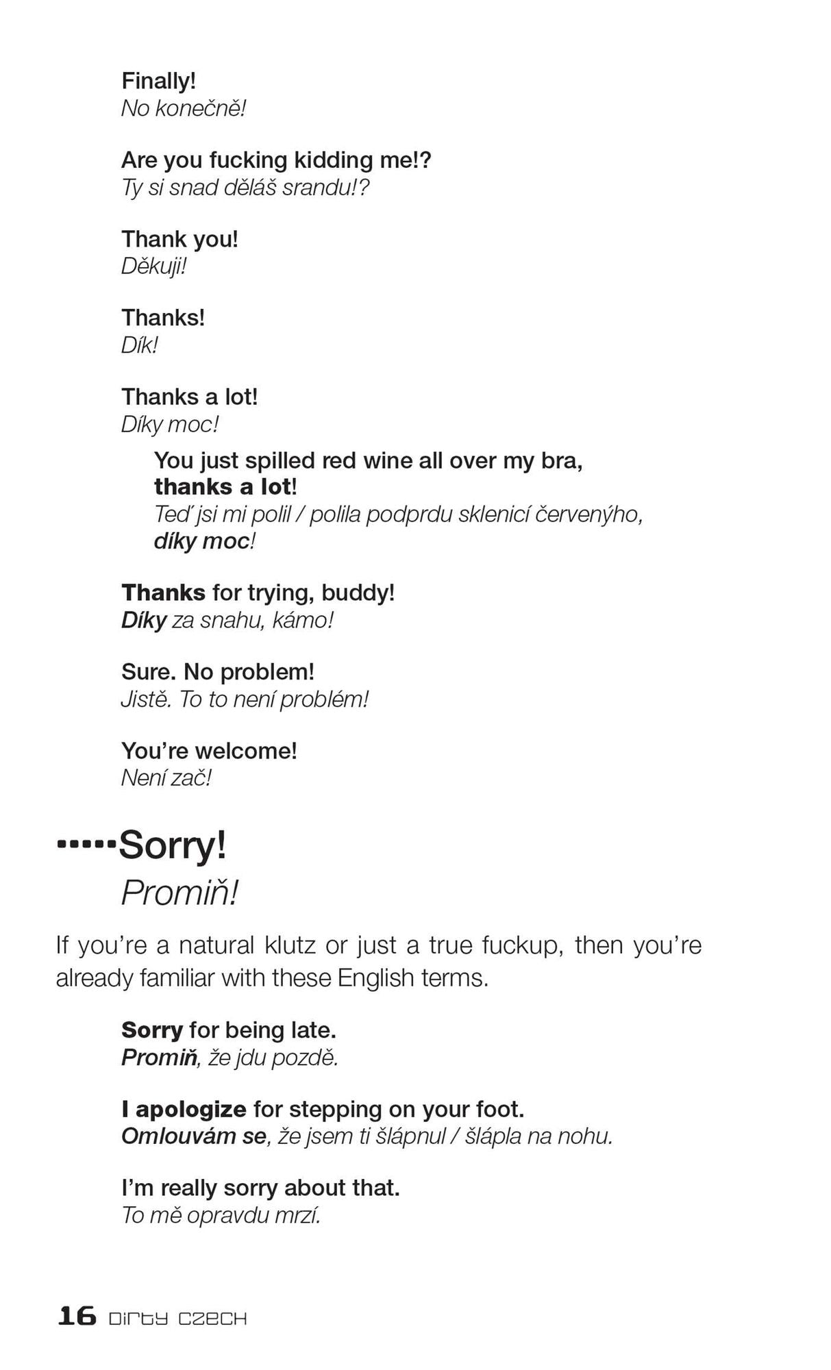 Dirty Czech: Everyday Slang from "What's Up?" to "F*%# Off!"