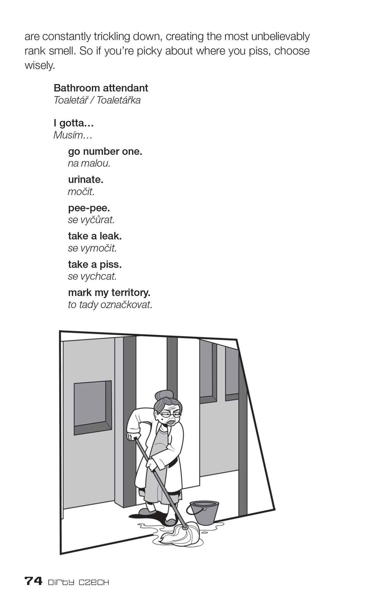 Dirty Czech: Everyday Slang from "What's Up?" to "F*%# Off!"