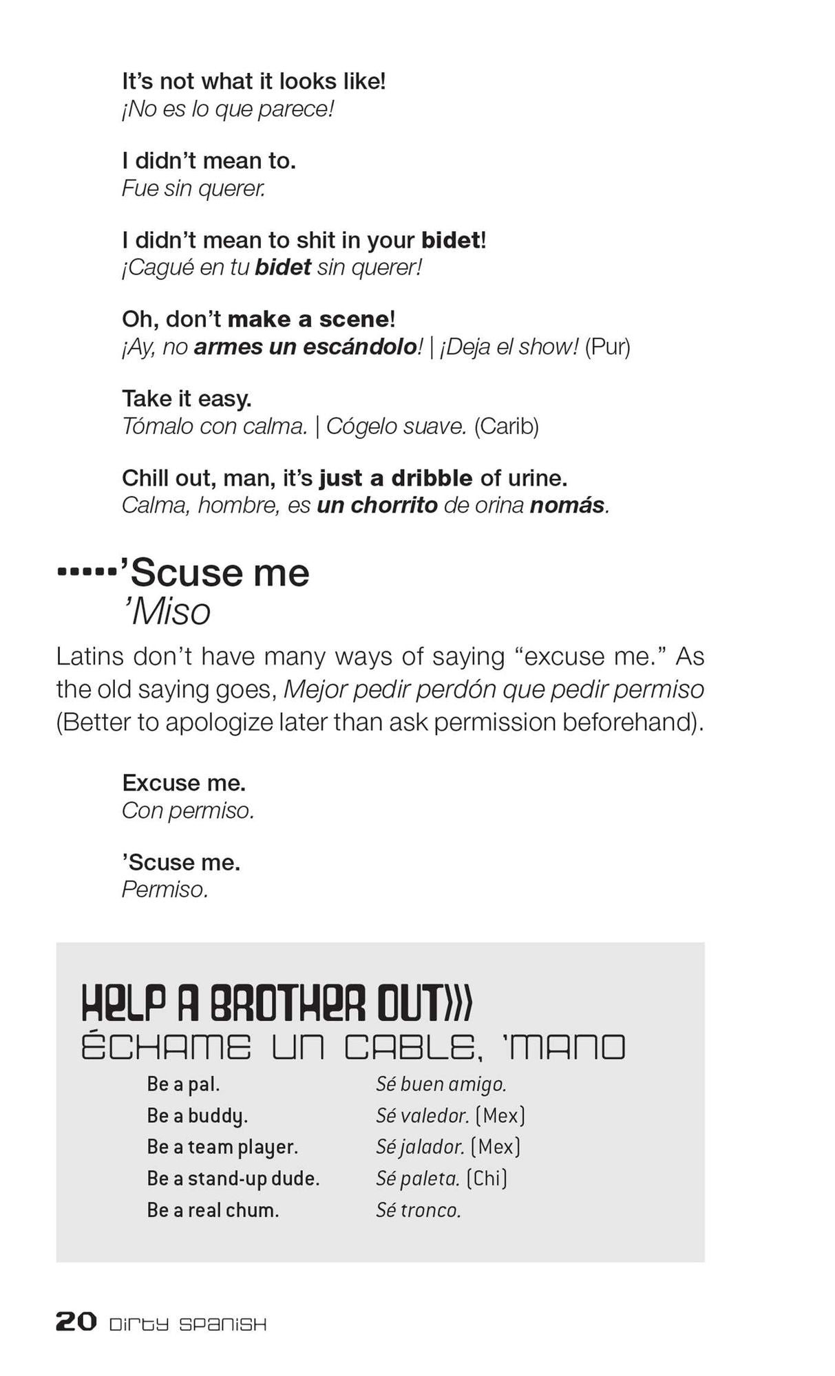 Dirty Spanish: Everyday Slang from "What's Up?" to "F*%# Off!"