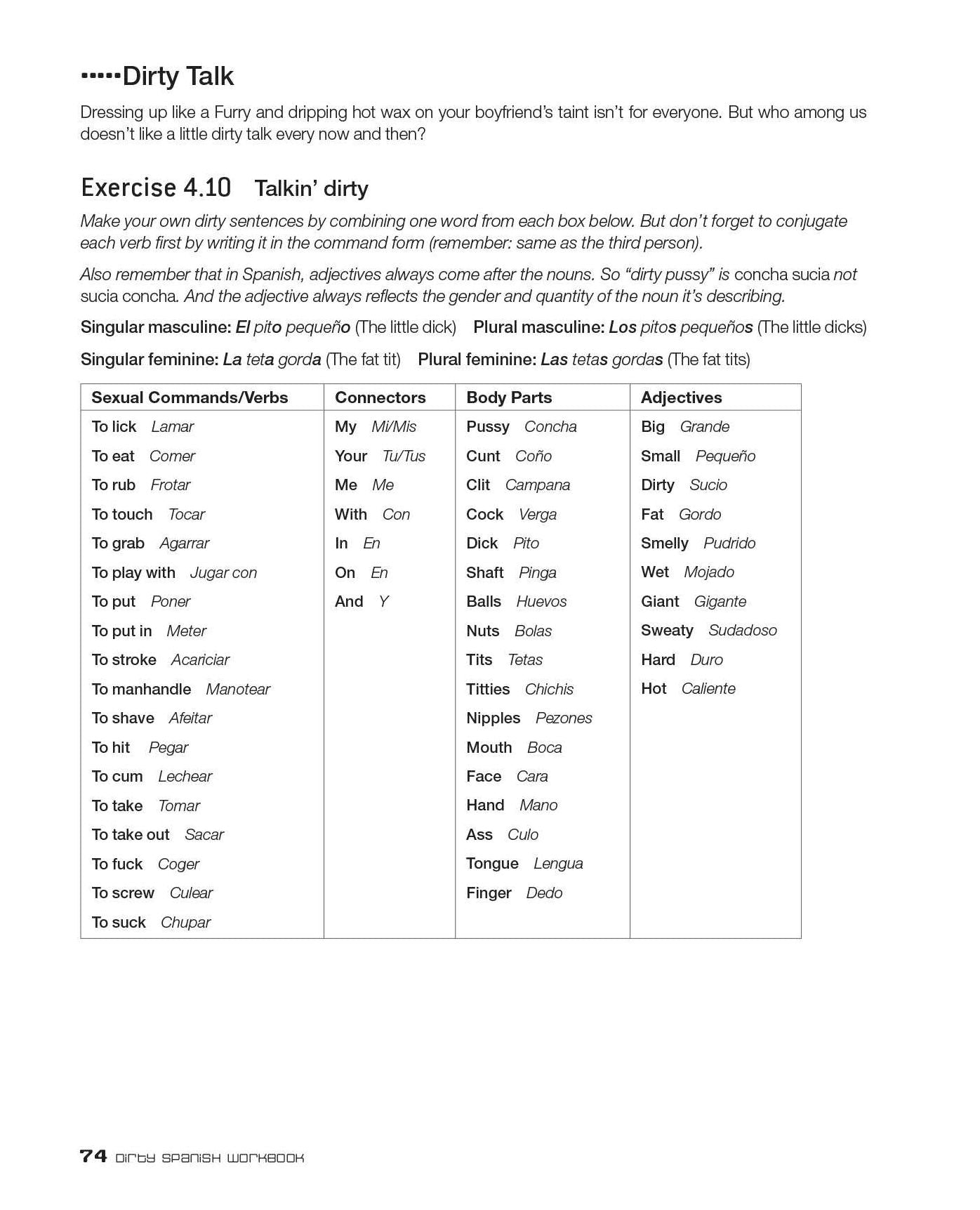 Dirty Spanish Workbook: 200 Fun Exercises Filled with Slang, Sex and Swearing