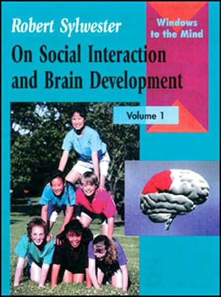 On Electronic Media and Brain Development
