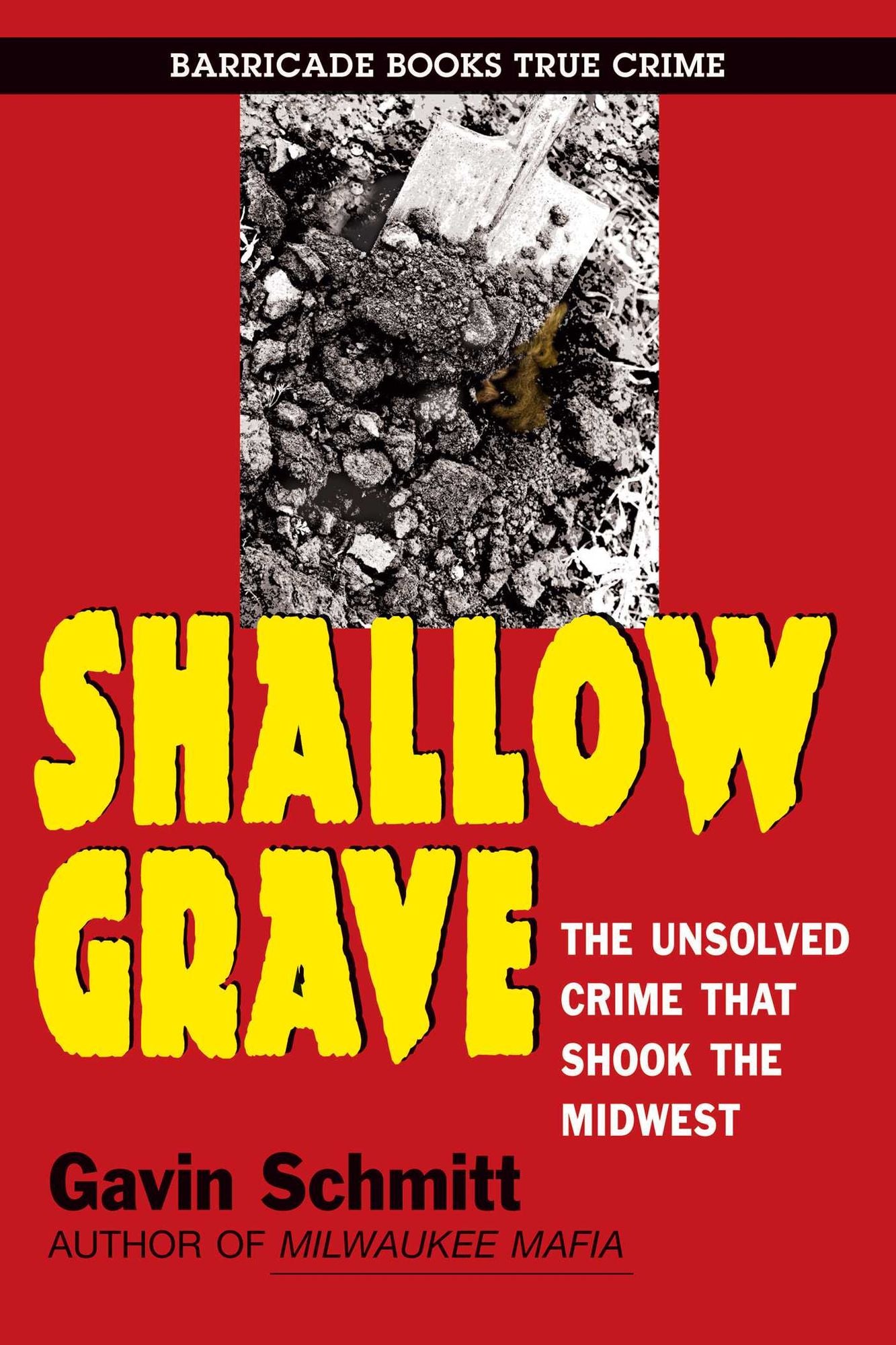 Shallow Grave : The Unsolved Crime That Shook the Midwest
