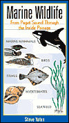 Marine Wildlife