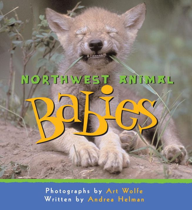 Northwest Animal Babies