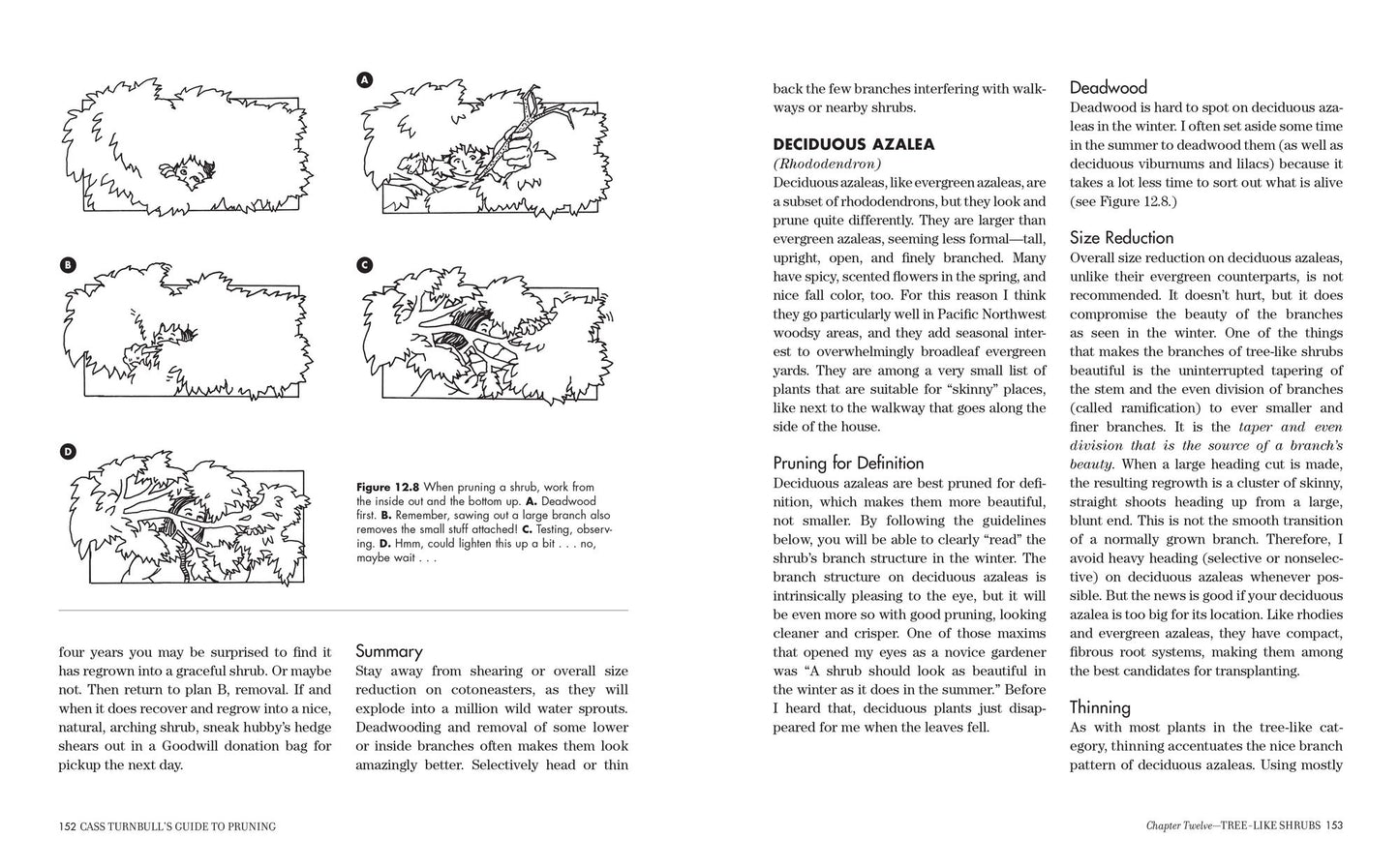 Cass Turnbull's Guide to Pruning, 3rd Edition: What, When, Where, and How to Prune for a More Beautiful Garden