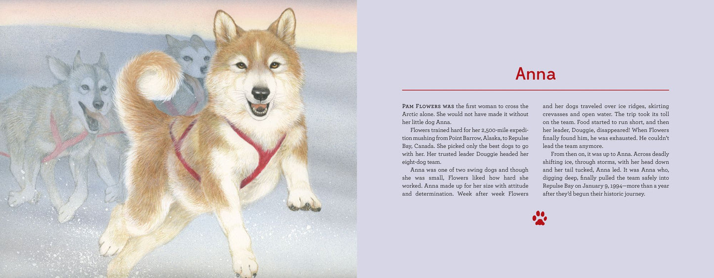 Alaska's Dog Heroes: True Stories of Remarkable Canines