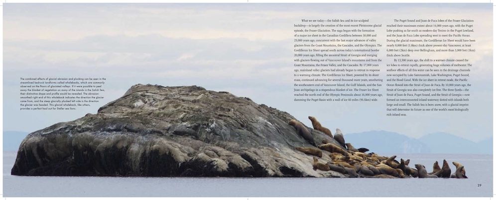 The Salish Sea: Jewel of the Pacific Northwest
