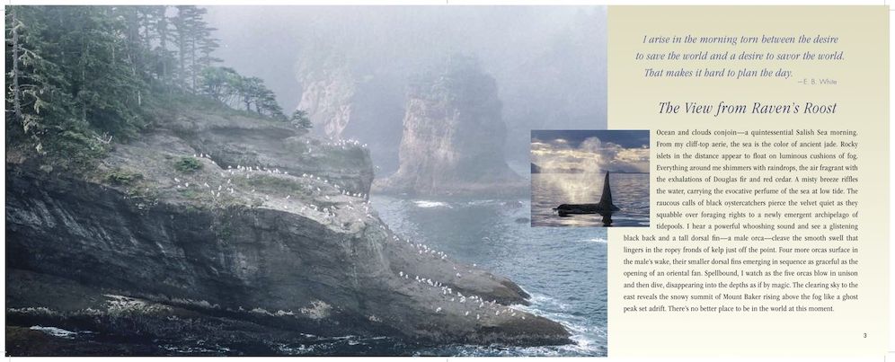 The Salish Sea: Jewel of the Pacific Northwest