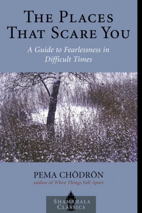 The Places that Scare You: A Guide to Fearlessness in Difficult Times