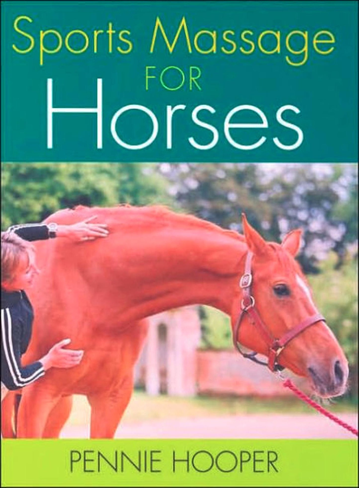 Sports Massage for Horses