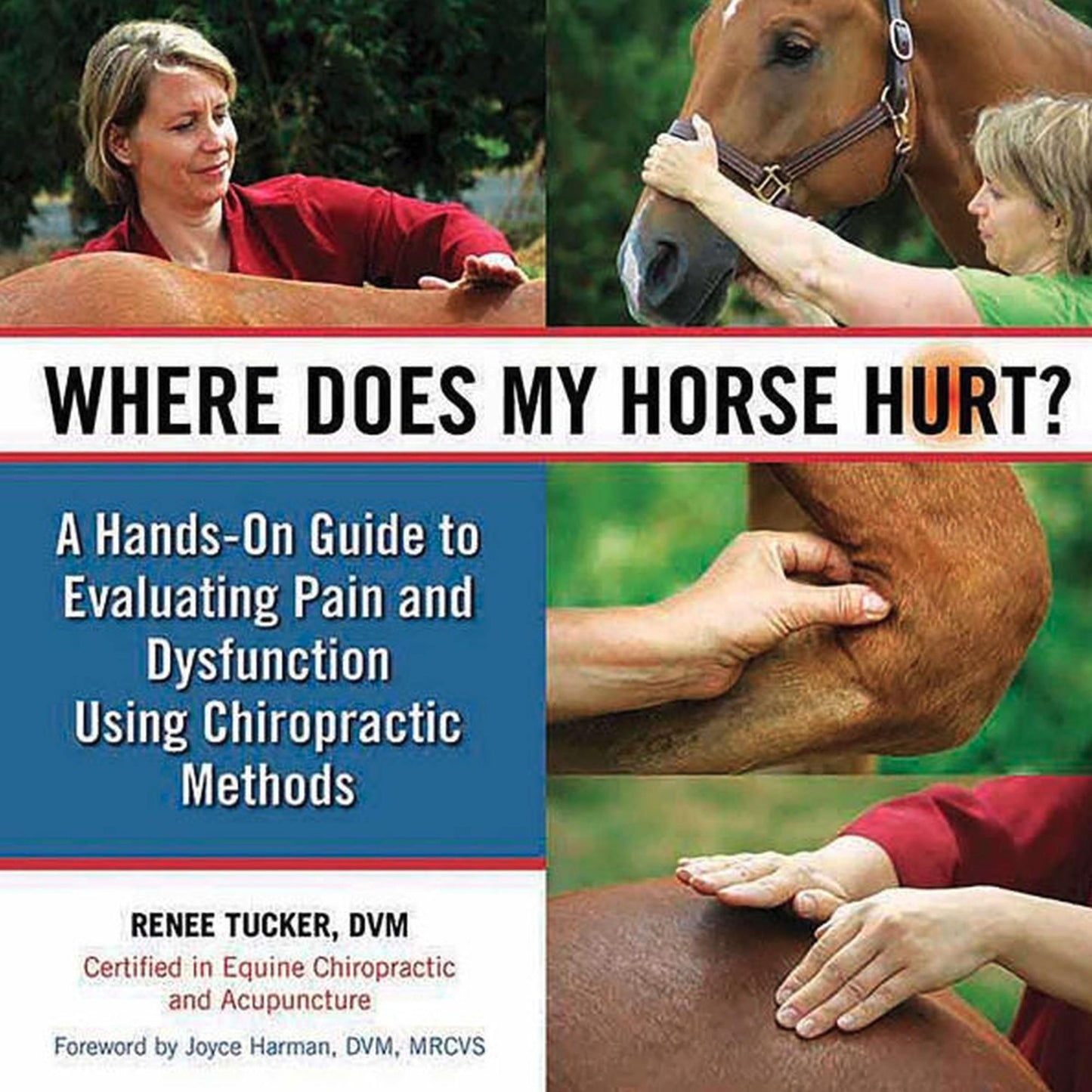 Where Does My Horse Hurt?: A Hands-On Guide to Evaluating Pain and Dysfunction Using Chiropractic Methods