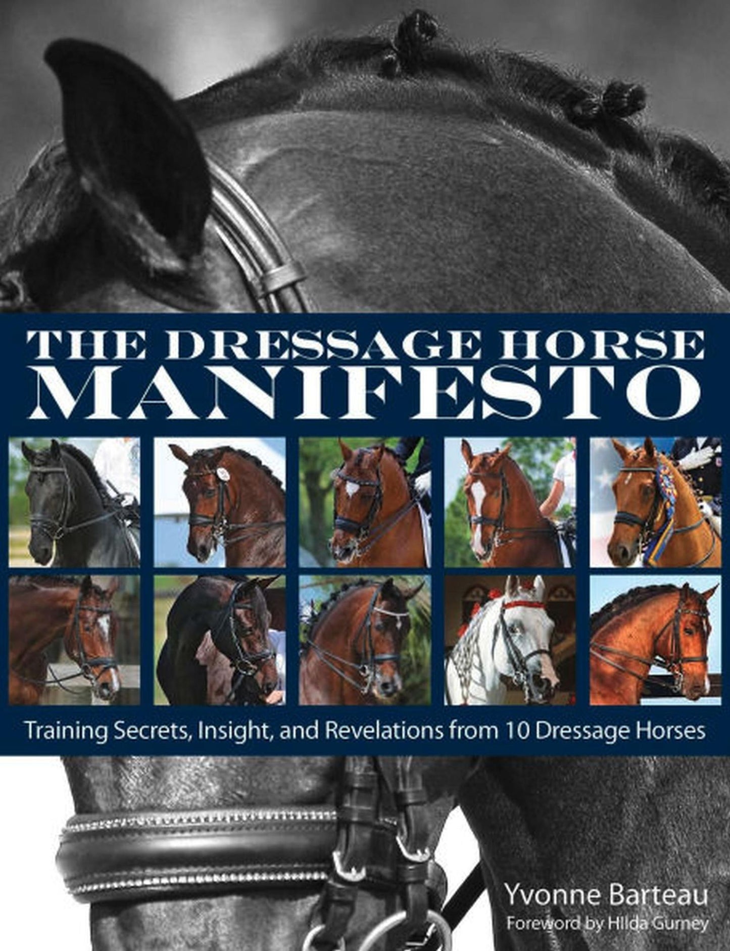 The Dressage Horse Manifesto: Training Secrets, Insight, and Revelations from 10 Dressage Horses