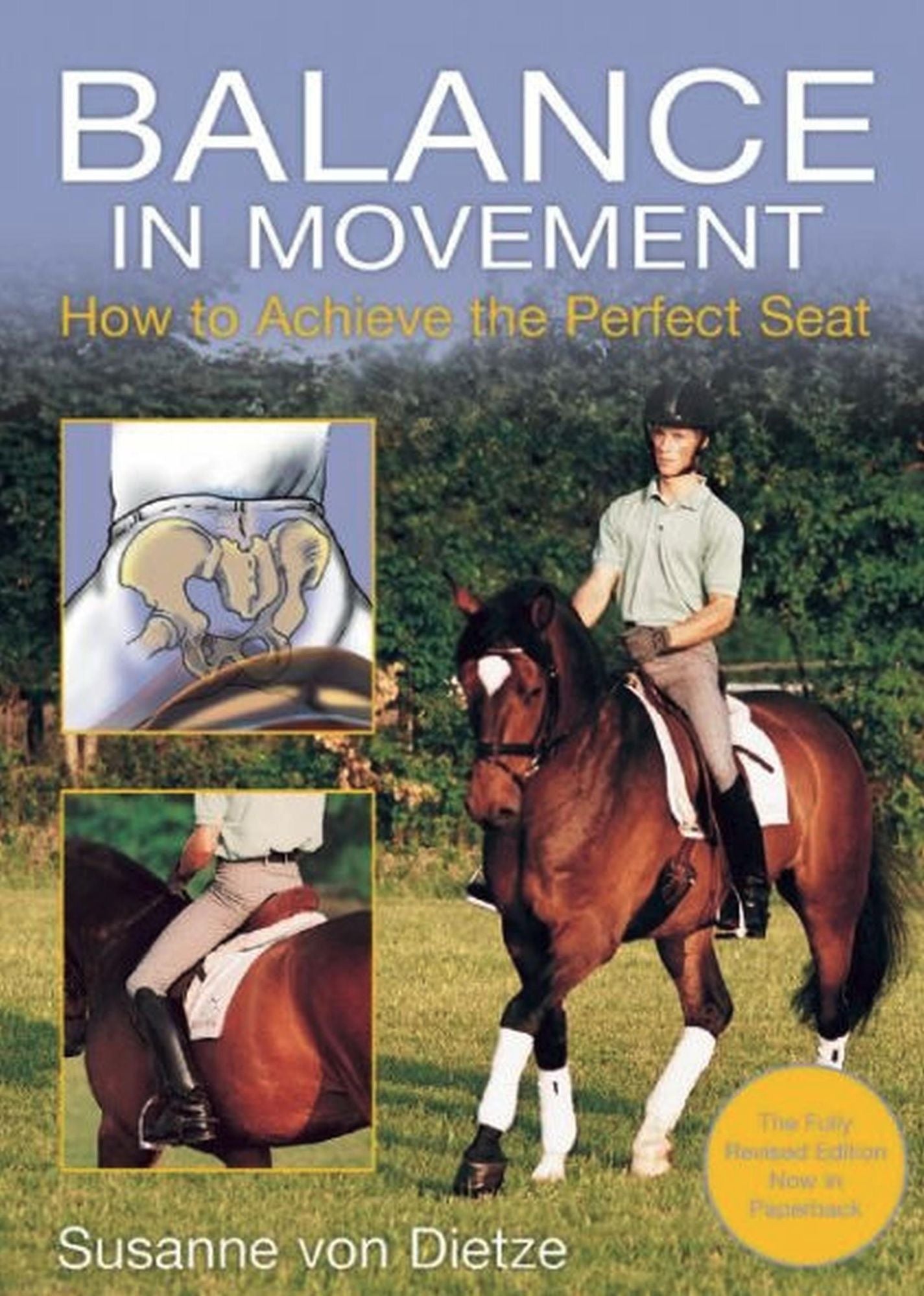 Balance in Movement: How to Achieve the Perfect Seat