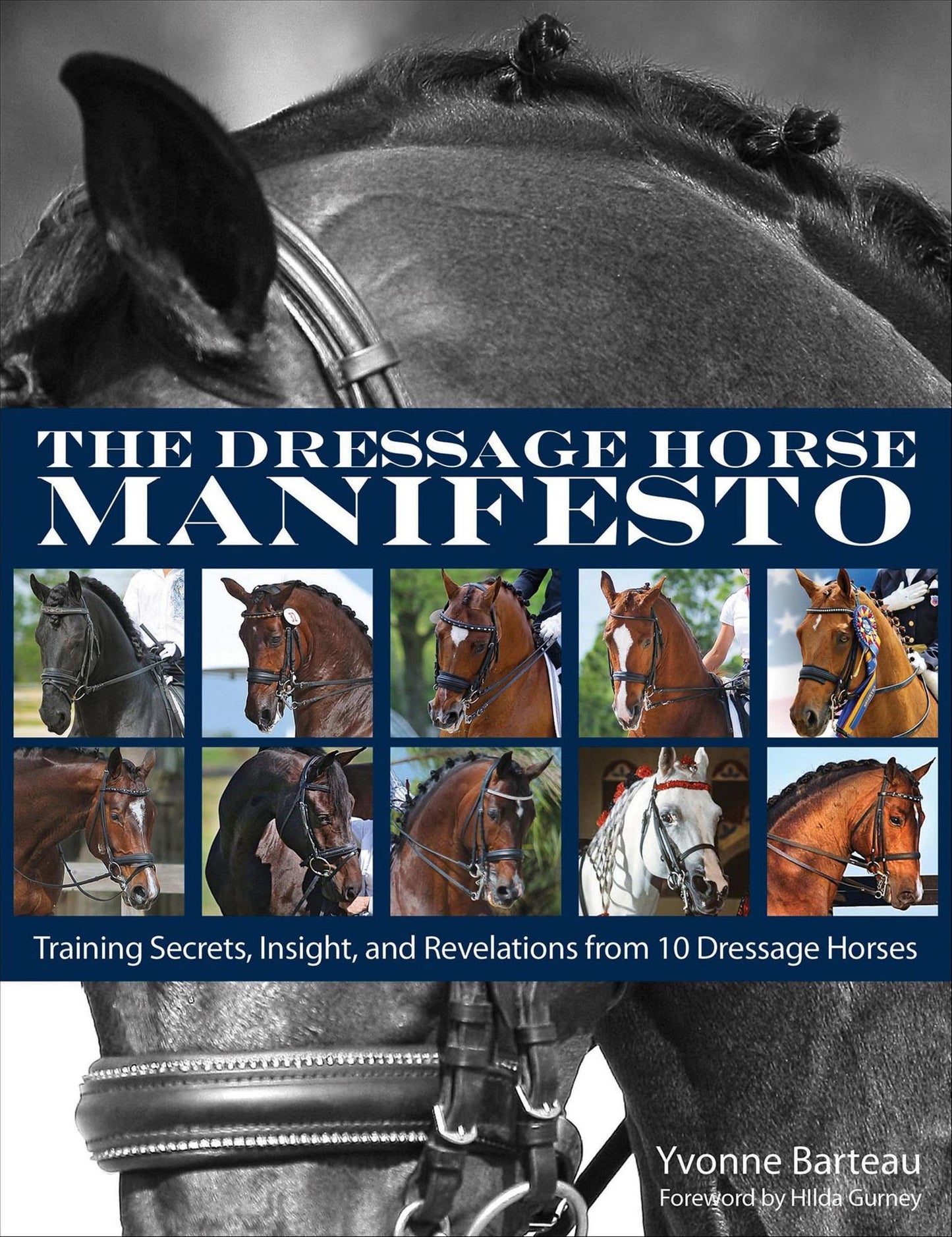 The Dressage Horse Manifesto: Training Secrets, Insight, and Revelations from 10 Dressage Horses
