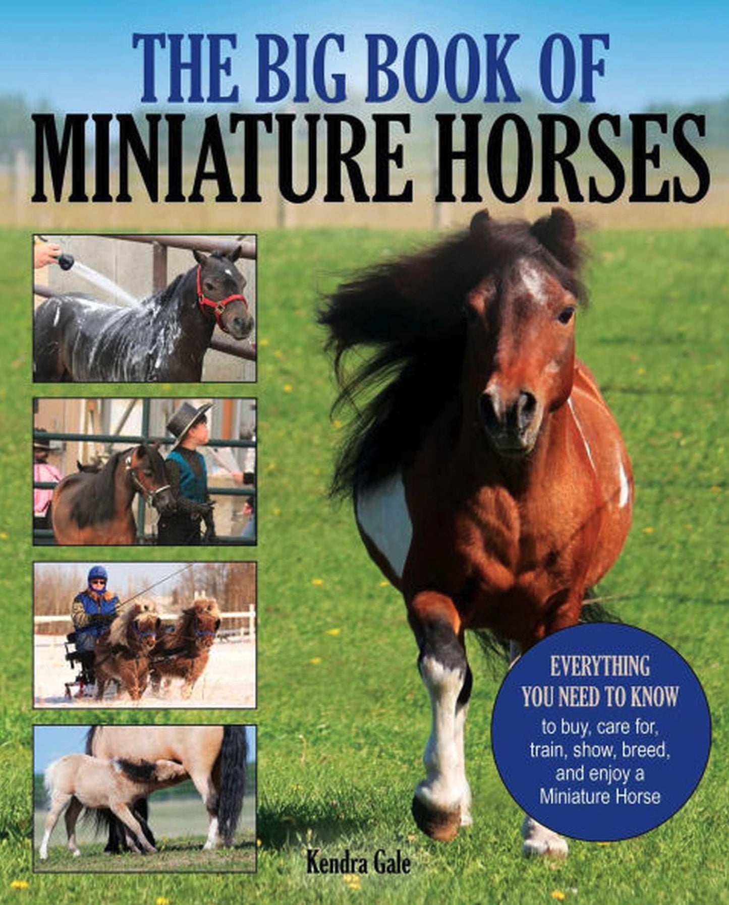 The Big Book of Miniature Horses: Everything You Need to Know to Buy, Care for, Train, Show, Breed, and Enjoy a Miniature Horse of Your Own